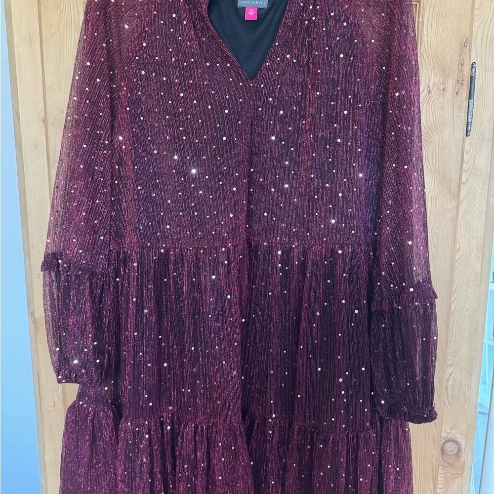 Sparkling Burgundy Dress